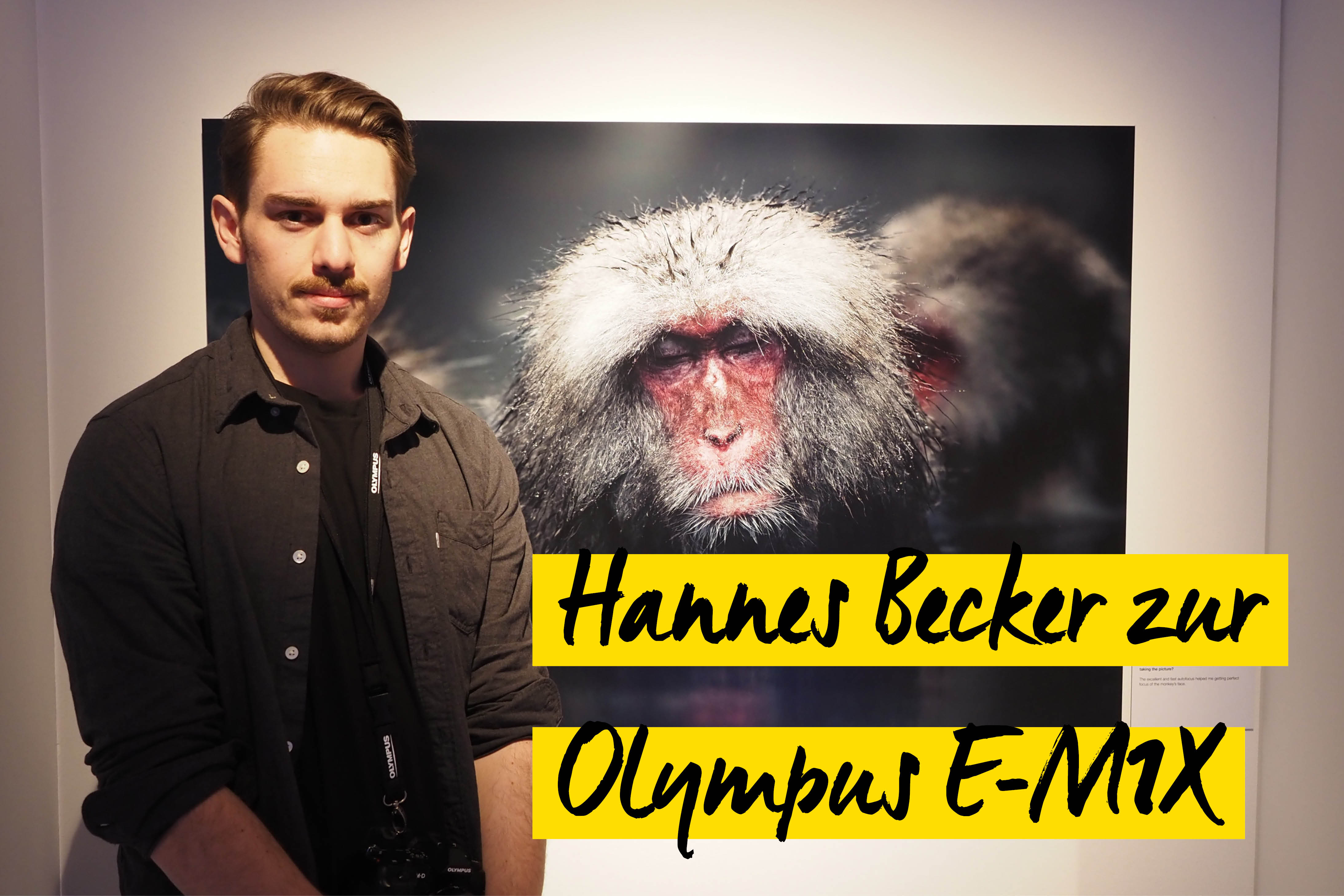 German Roamer vor Bild